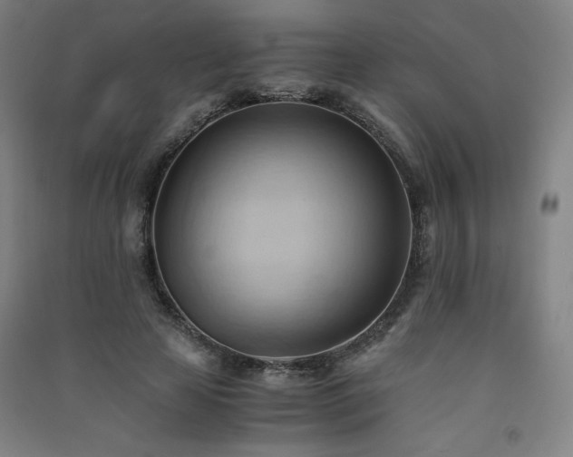 X0000091570641200708201146