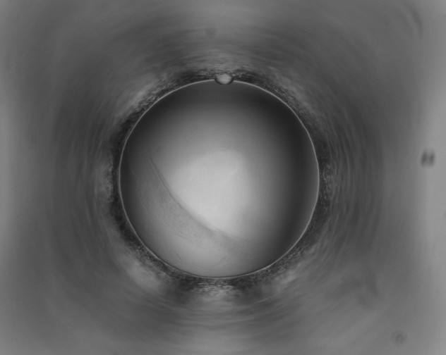X0000091570642200708201146