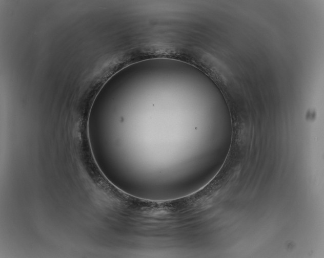 X0000091570643200708201146