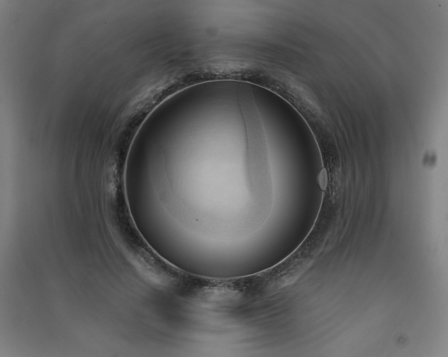 X0000091570644200708201146