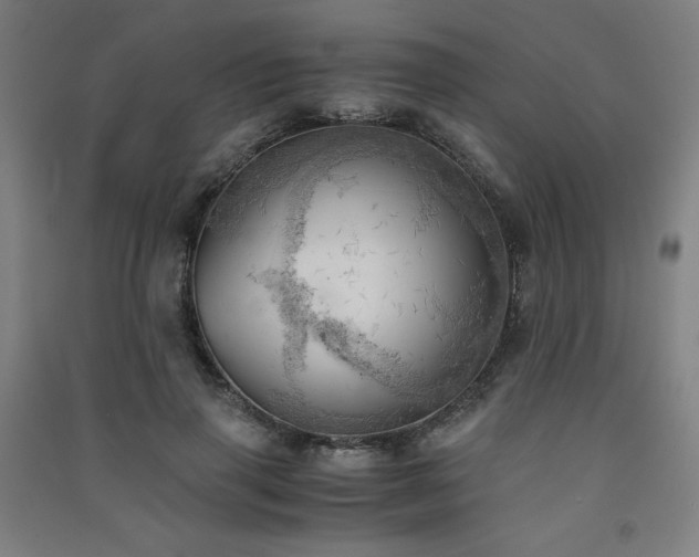 X0000091570645200708201146