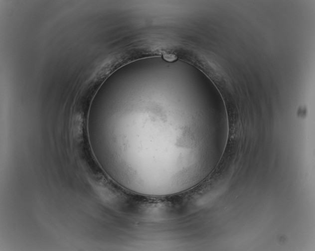 X0000091570646200708201146