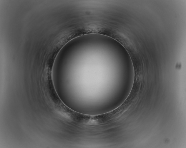 X0000091570647200708201146