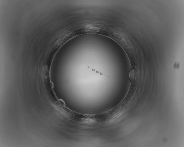 X0000091570649200708201146