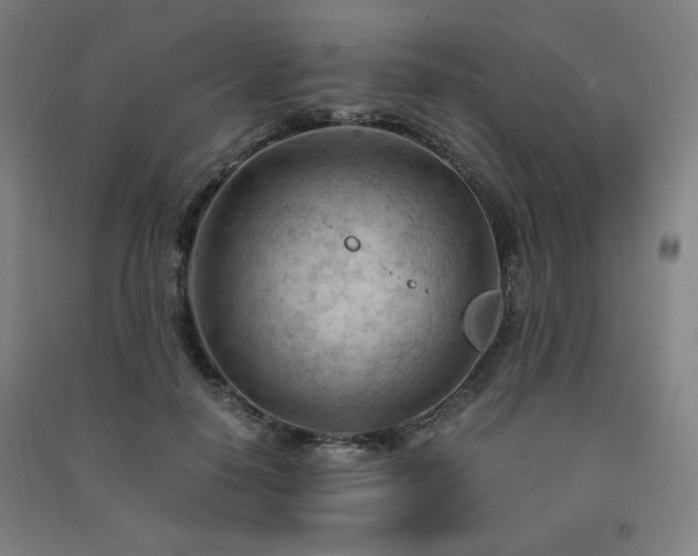 X0000091570650200708201146