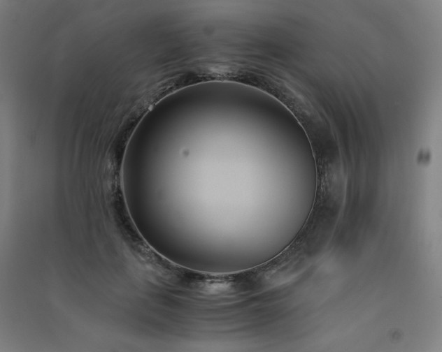 X0000091570651200708201146