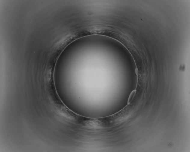 X0000091570652200708201146