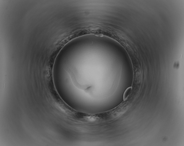 X0000091570654200708201146