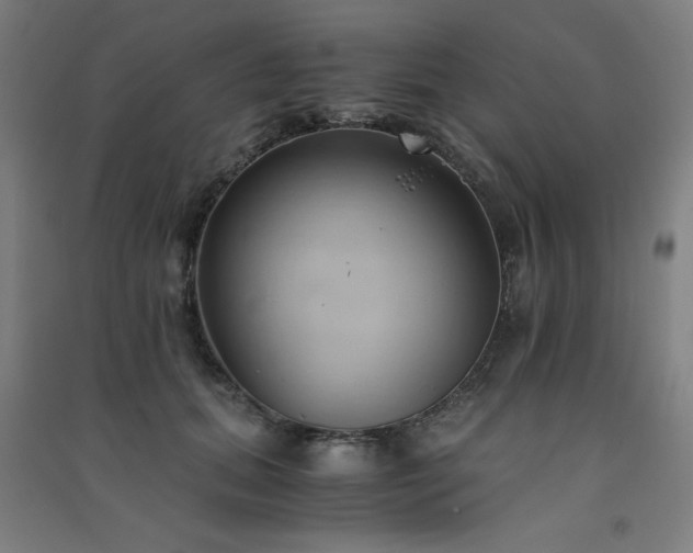 X0000091570655200708201146