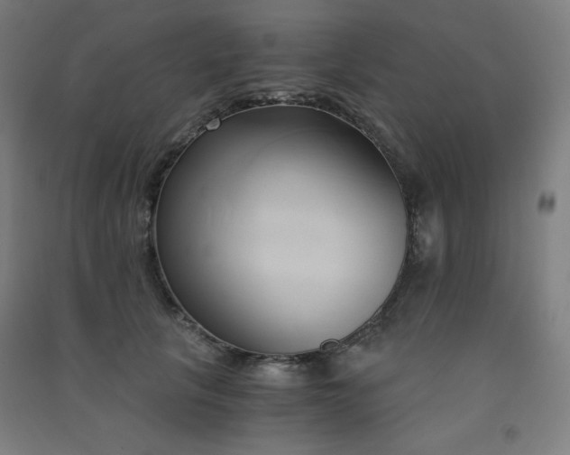 X0000091570657200708201147