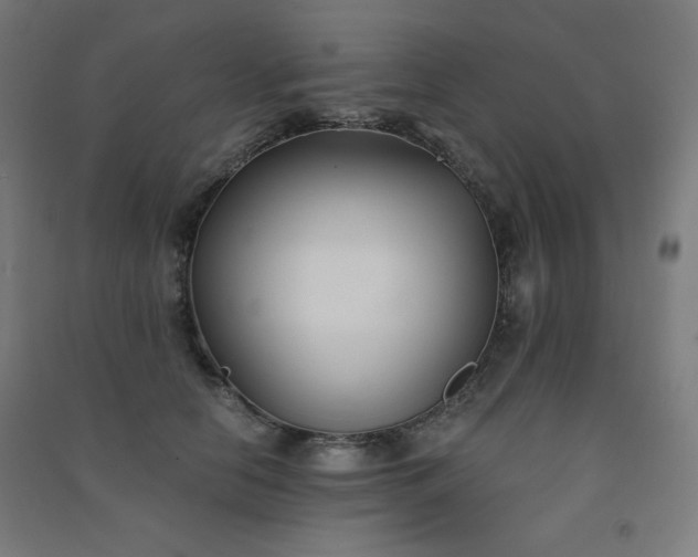 X0000091570658200708201147