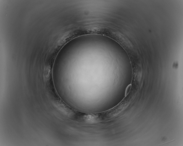 X0000091570660200708201147