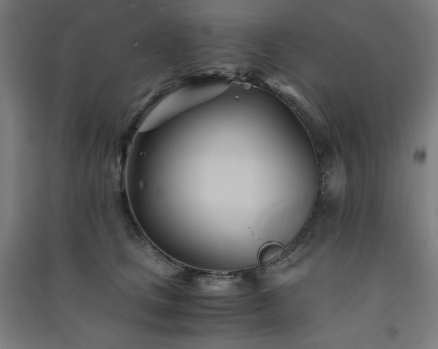 X0000091570661200708201147