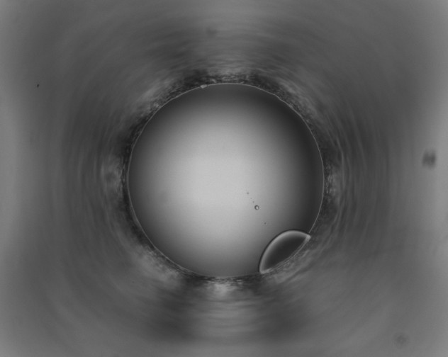 X0000091570662200708201147