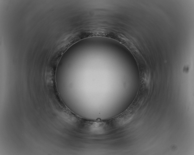 X0000091570663200708201147
