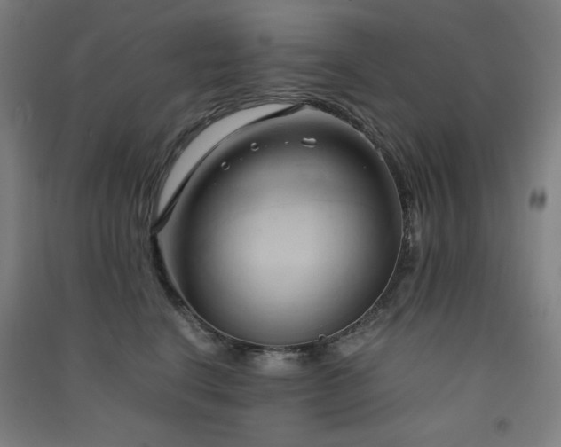 X0000091570664200708201147