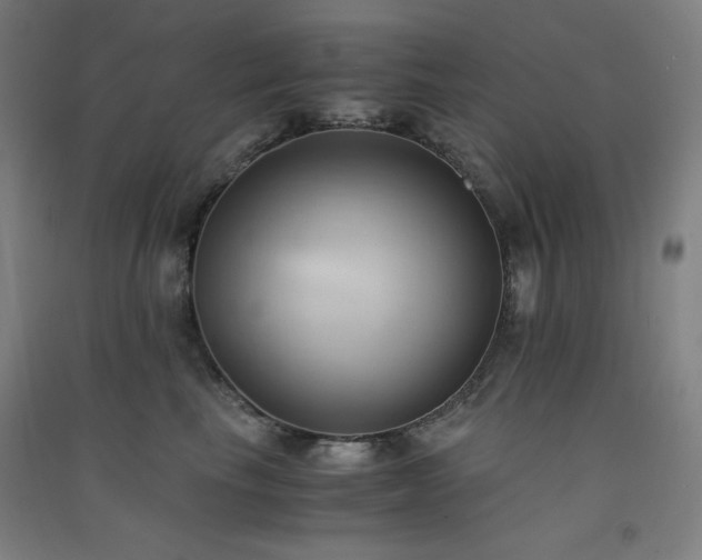 X0000091570665200708201147