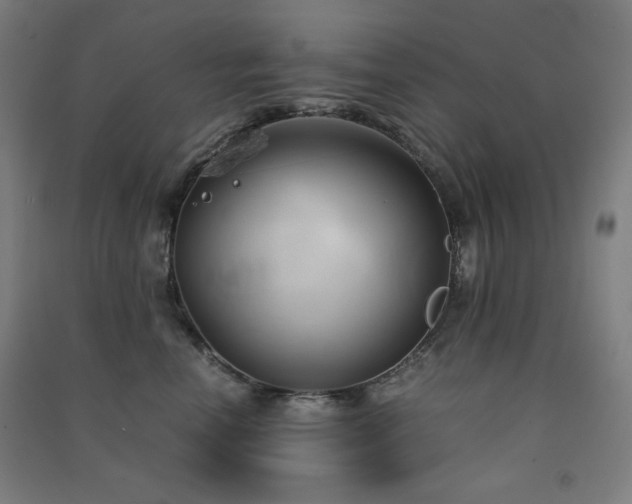 X0000091570666200708201147