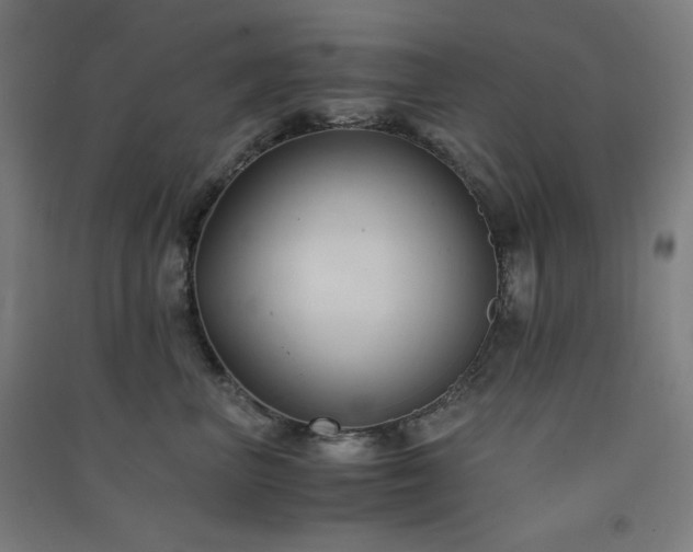 X0000091570667200708201147