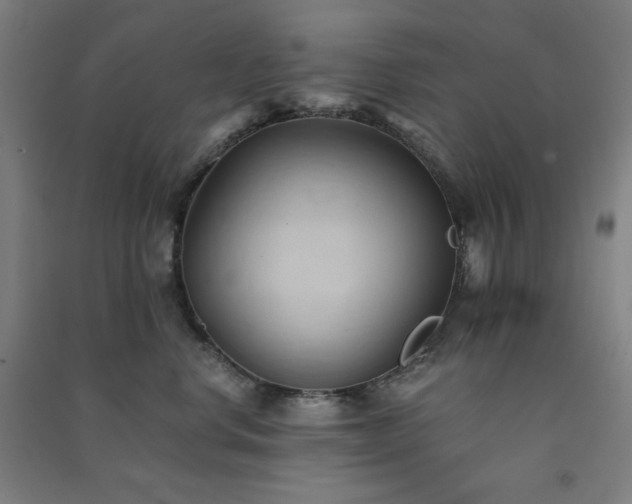 X0000091570668200708201147