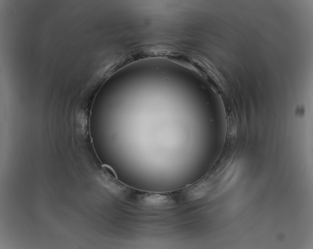 X0000091570669200708201147