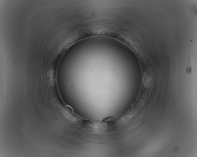 X0000091570670200708201147