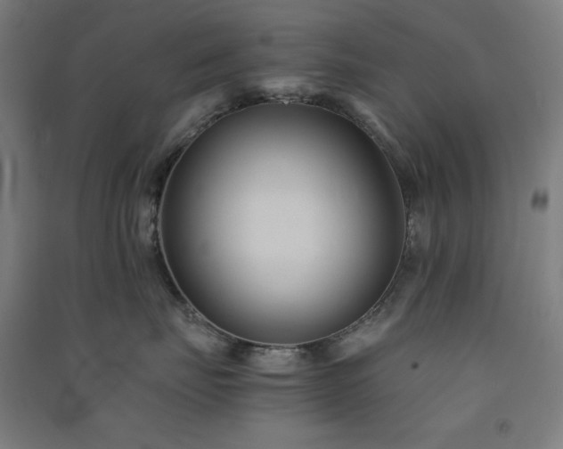 X0000091570671200708201147