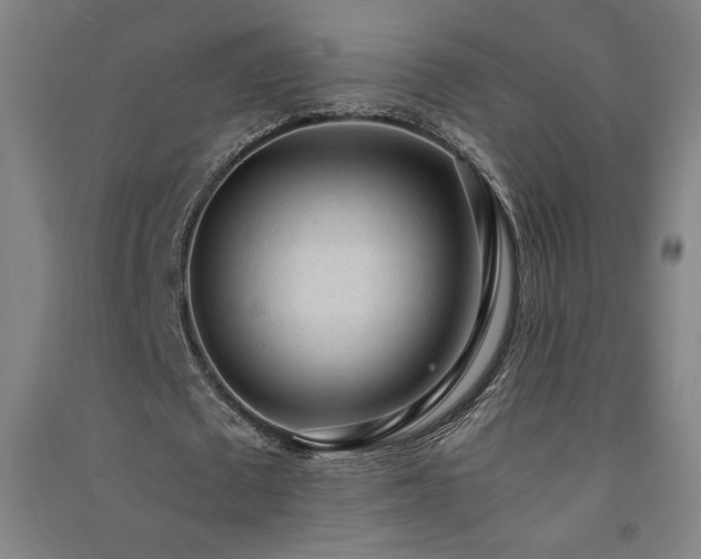 X0000091570673200708201146