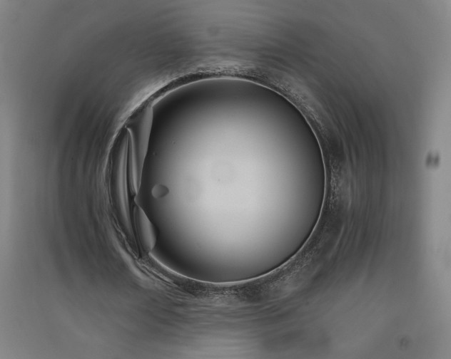 X0000091570674200708201146