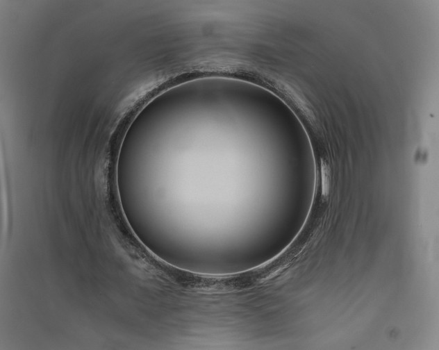 X0000091570675200708201146