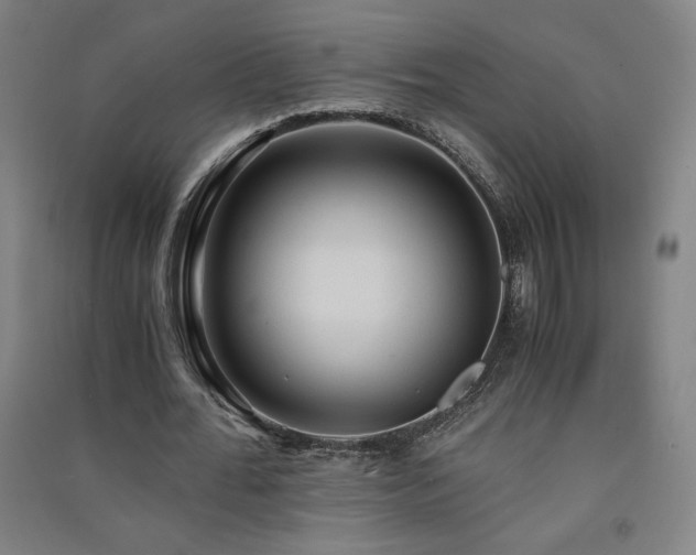 X0000091570676200708201146