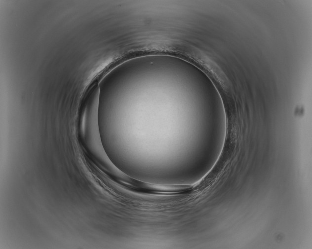 X0000091570677200708201146