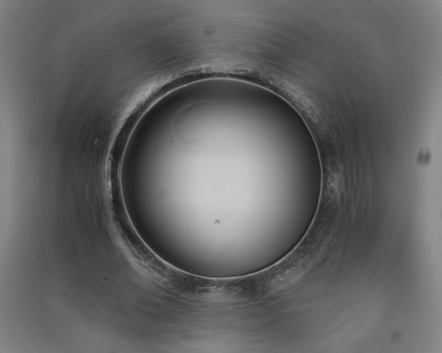X0000091570678200708201146