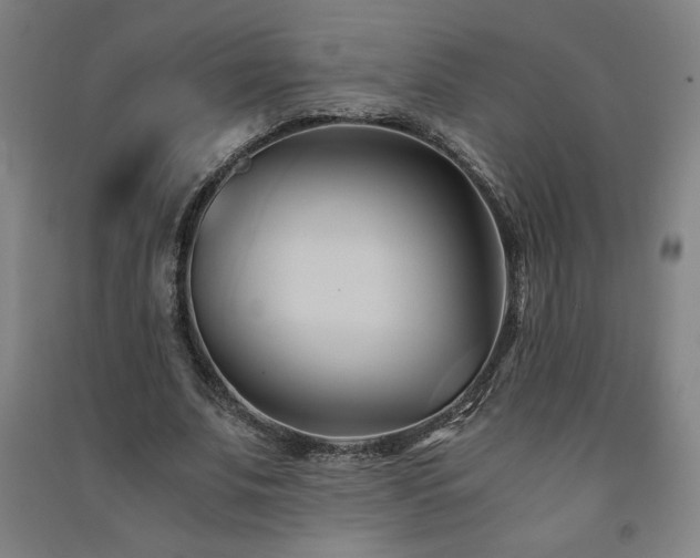 X0000091570679200708201146