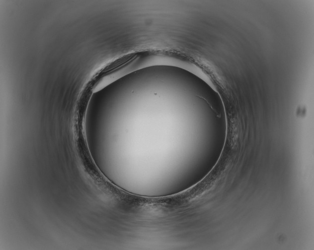 X0000091570680200708201146