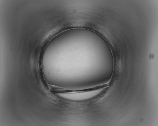 X0000091570681200708201146