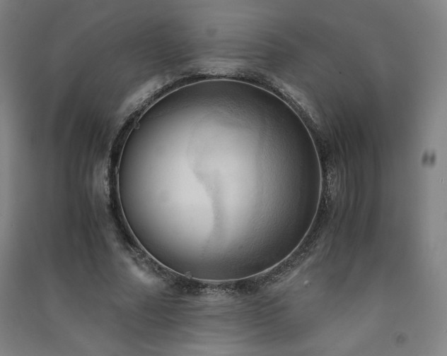X0000091570682200708201146