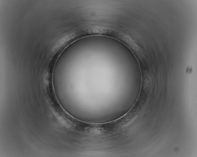 X0000091570683200708201146