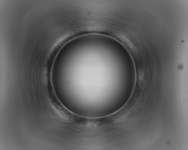 X0000091570684200708201146