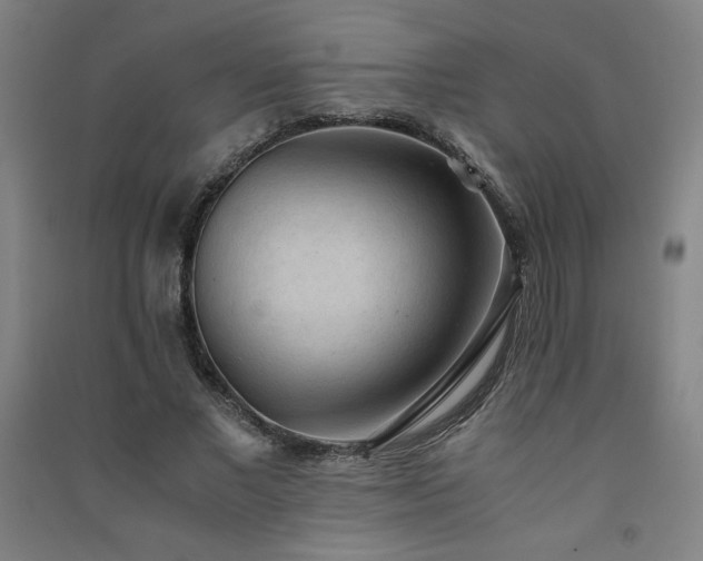 X0000091570685200708201146