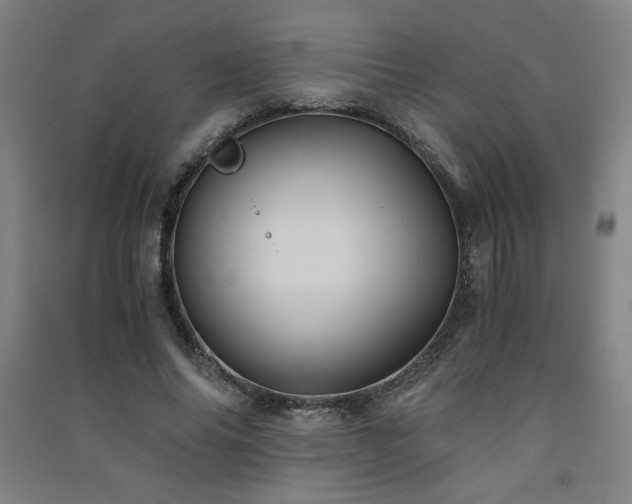 X0000091570686200708201146