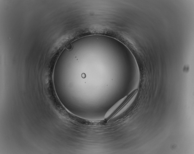 X0000091570687200708201146