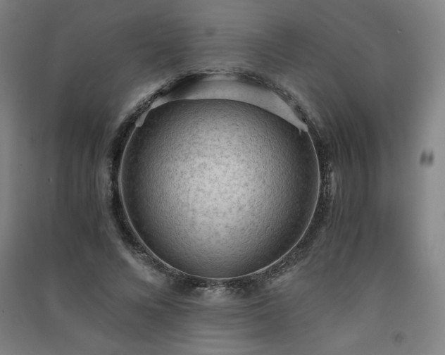 X0000091570688200708201146