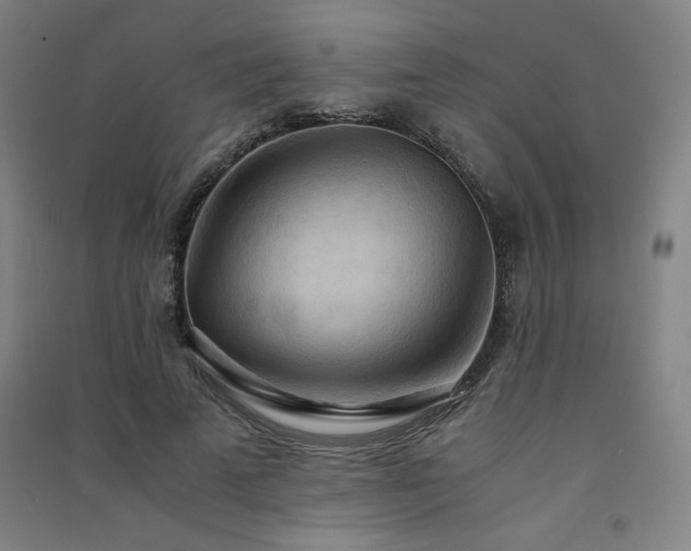 X0000091570689200708201146