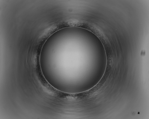 X0000091570690200708201146