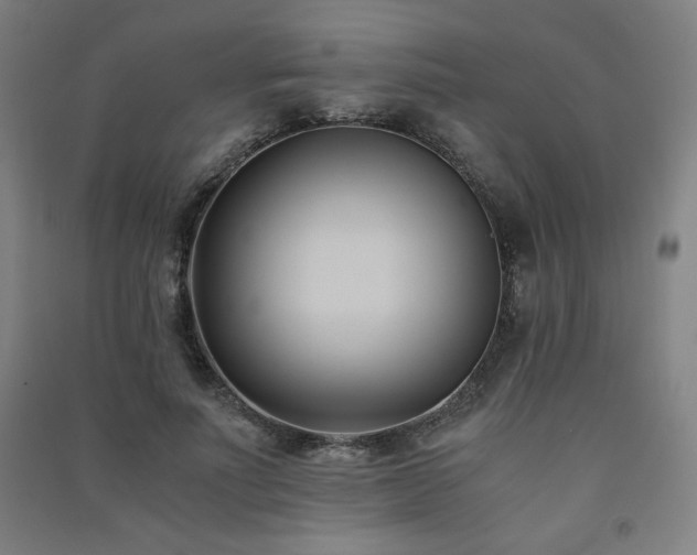 X0000091570691200708201146