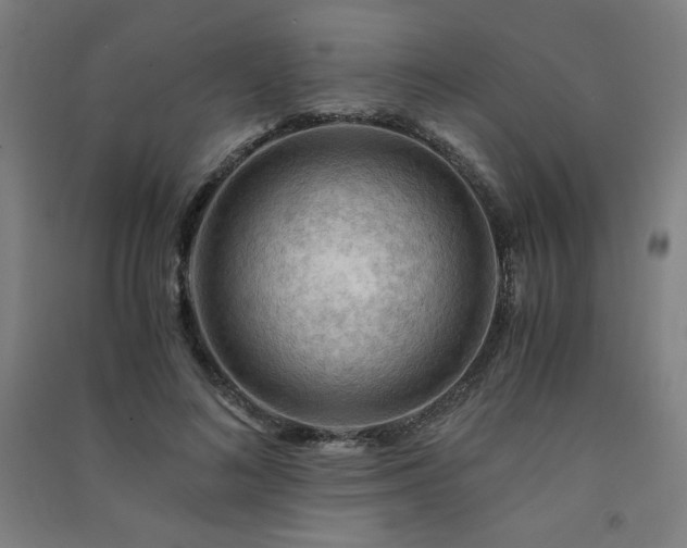 X0000091570692200708201146