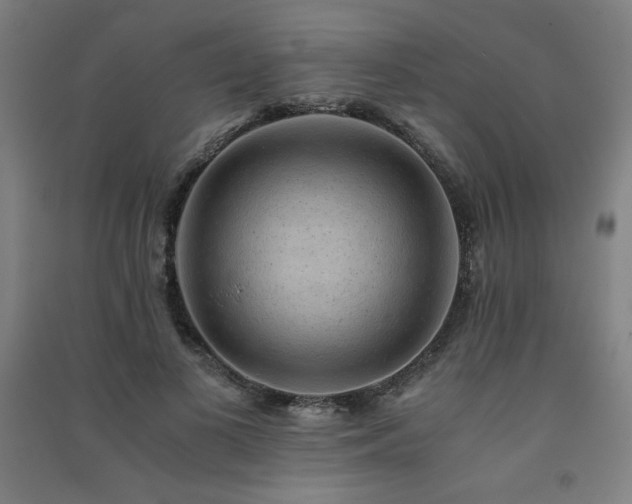 X0000091570693200708201146