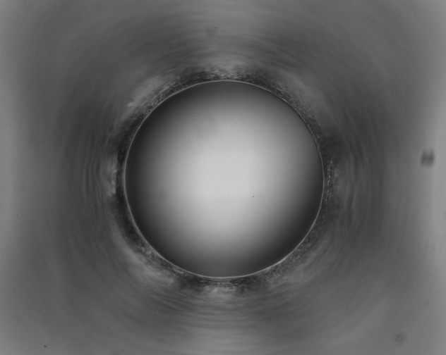 X0000091570694200708201146