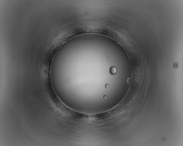 X0000091570695200708201146